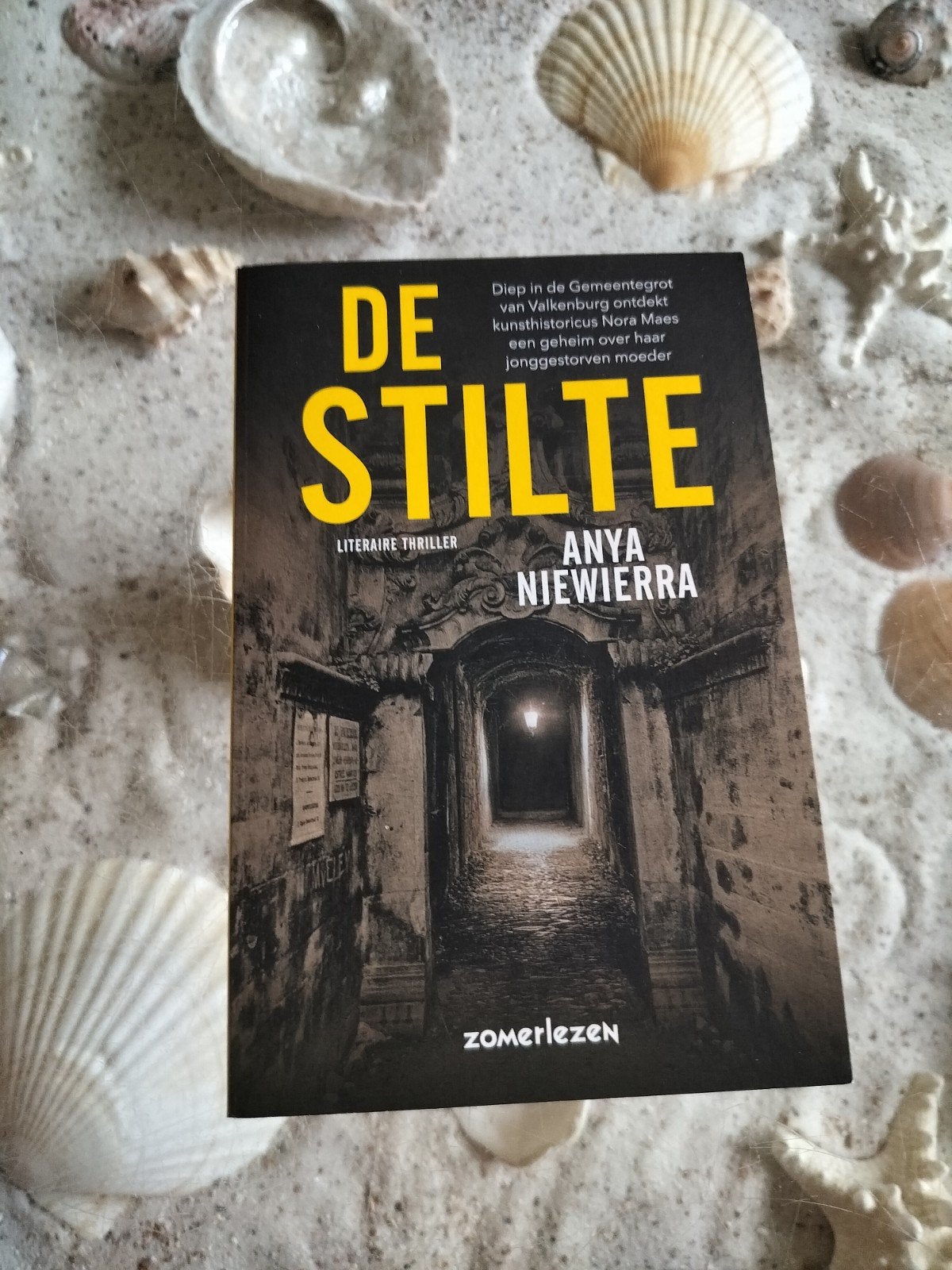 Anya Niewierra - De stilte, Boeken, Ophalen of Verzenden, Gelezen