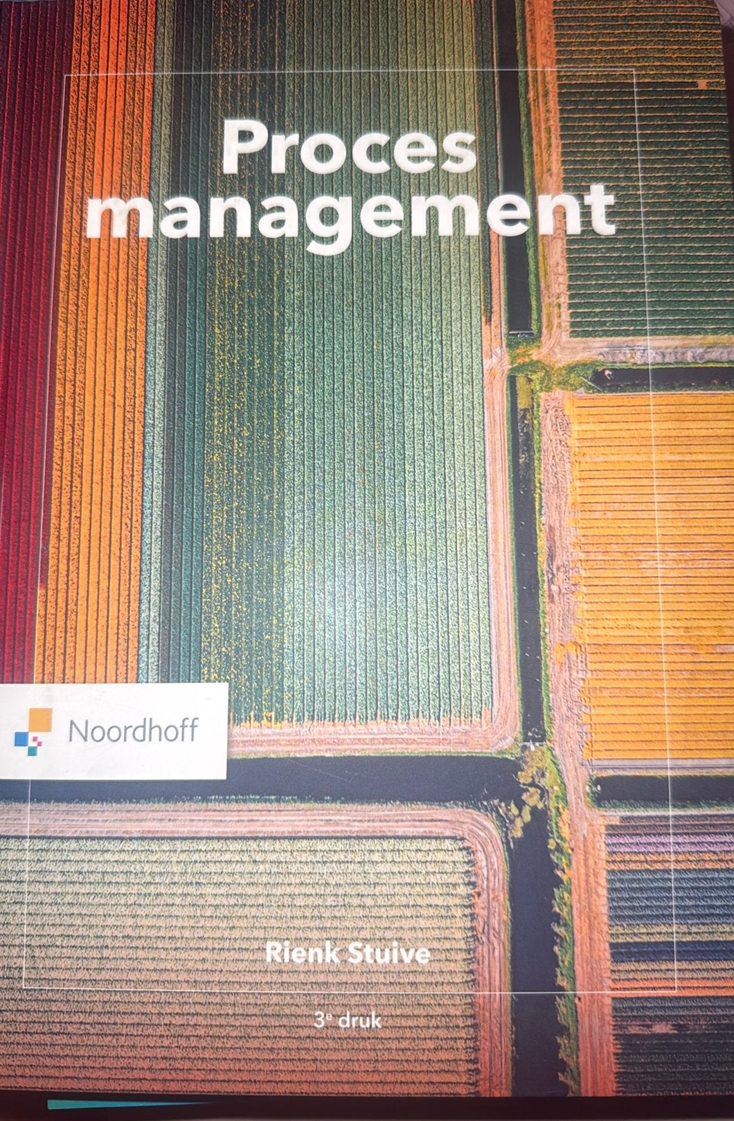 Rienk Stuive - Procesmanagement, Boeken, Sociale wetenschap, Rienk Stuive, Ophalen of Verzenden, Zo goed als nieuw
