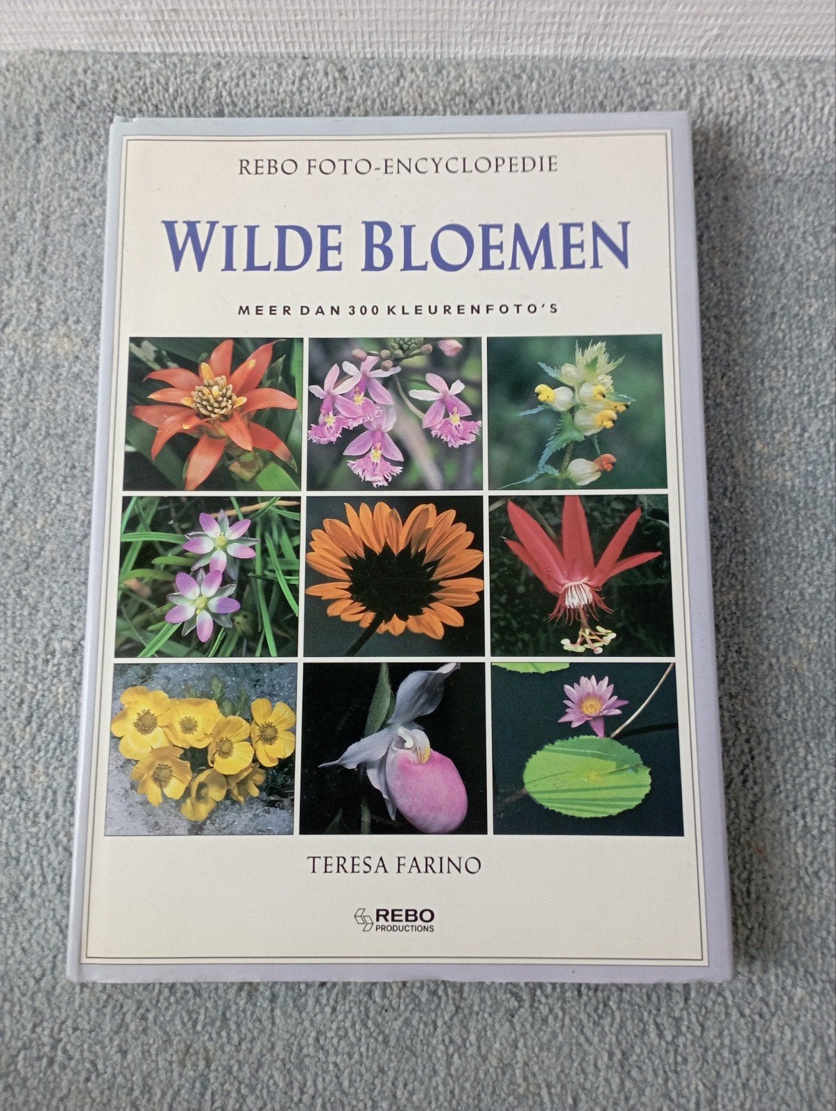 REBO Foto-encyclopedie: Wilde Bloemen (onbeschadigd), Boeken, Encyclopedieën, Ophalen, Zo goed als nieuw, Los deel, Bloemen en Planten