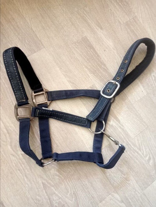 Leuk jeansstof halster mt cob, Dieren en Toebehoren, Ophalen of Verzenden