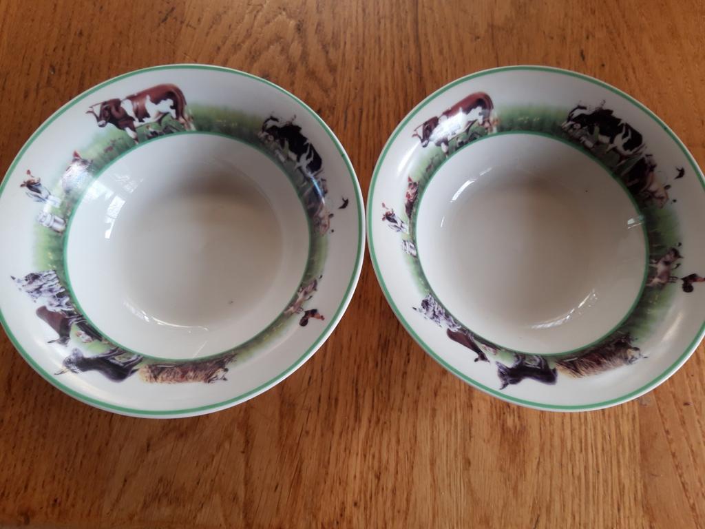 2 schaaltjes The Farm by H.v.D., Ophalen, Zo goed als nieuw, Overige stijlen, Schaal of Schalen