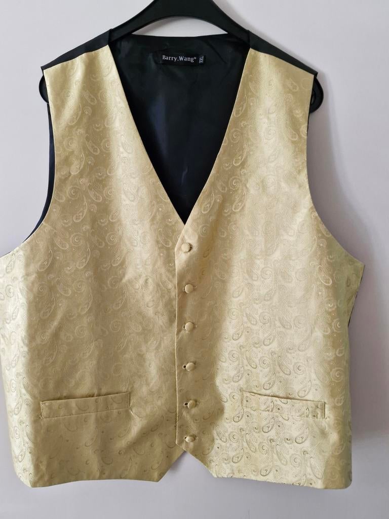 Gouden heren Gilet xxl, Kleding | Heren, Ophalen of Verzenden, Zo goed als nieuw, Overige maten