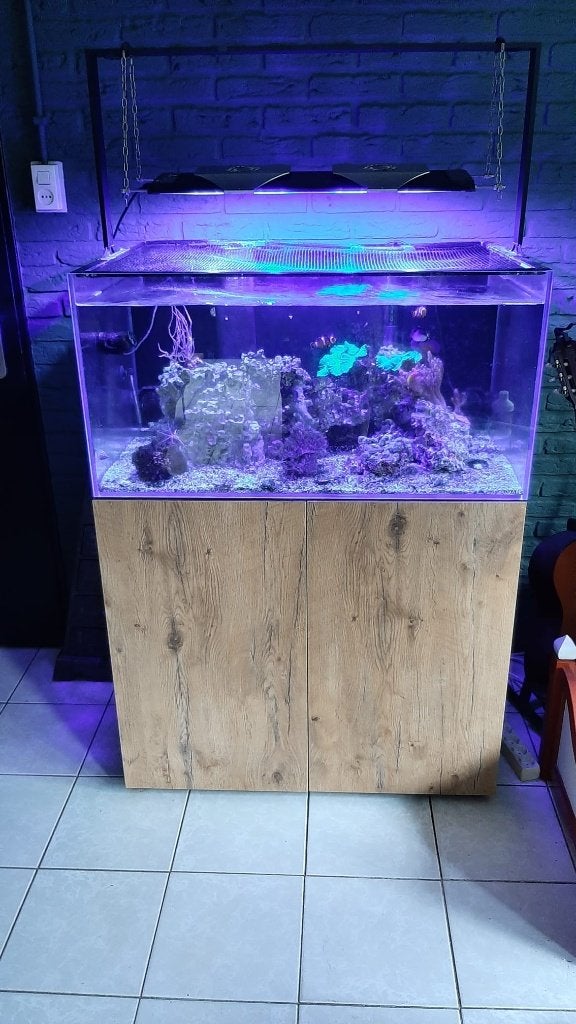 Osaka Ultrascape  compleet met zoutwatervissen etc, Dieren en Toebehoren, Vissen | Aquaria en Toebehoren, Ophalen, Nieuw, Leeg aquarium