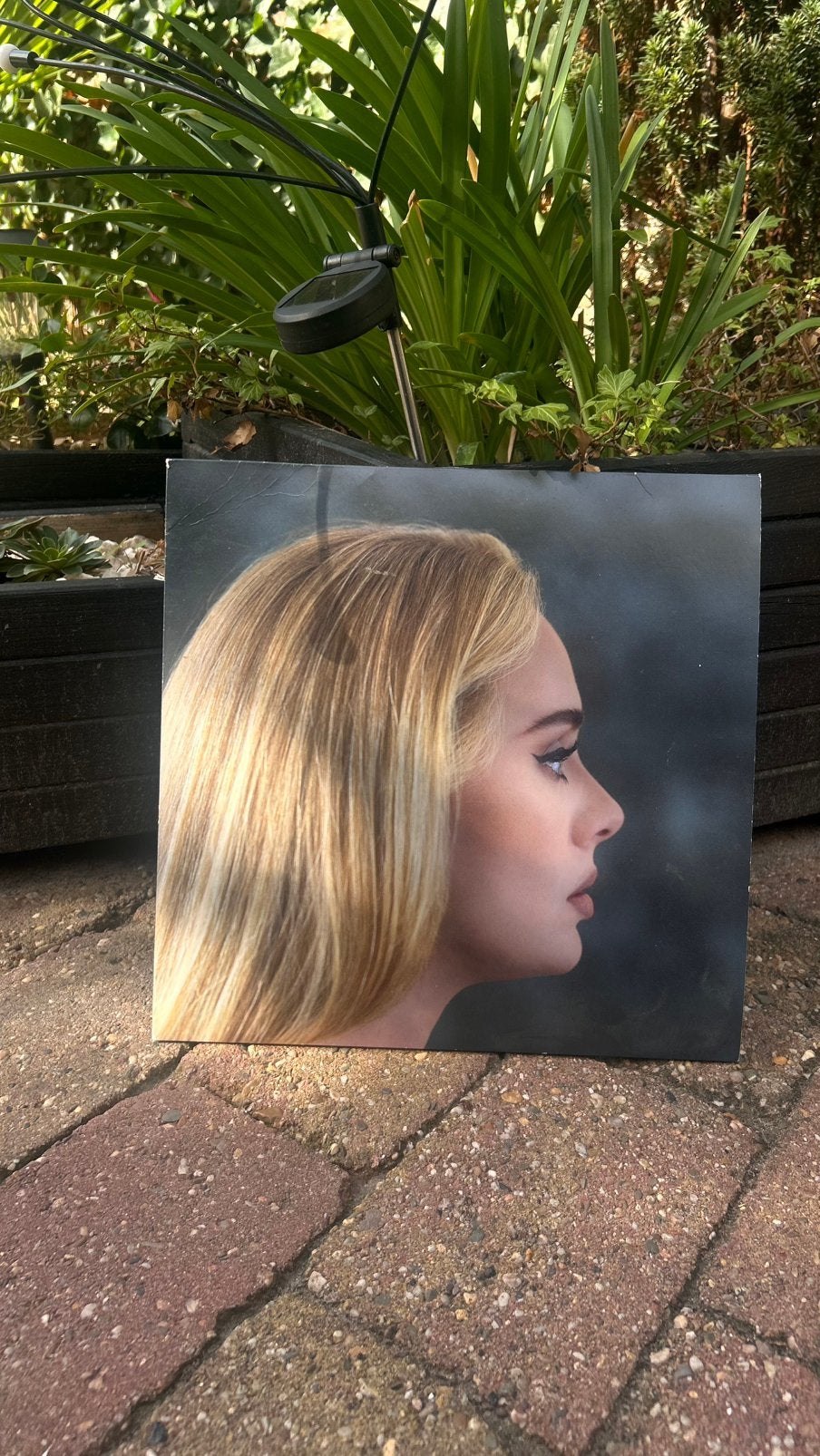 Plaat adele !, Ophalen of Verzenden, Zo goed als nieuw, Poster, Artwork of Schilderij