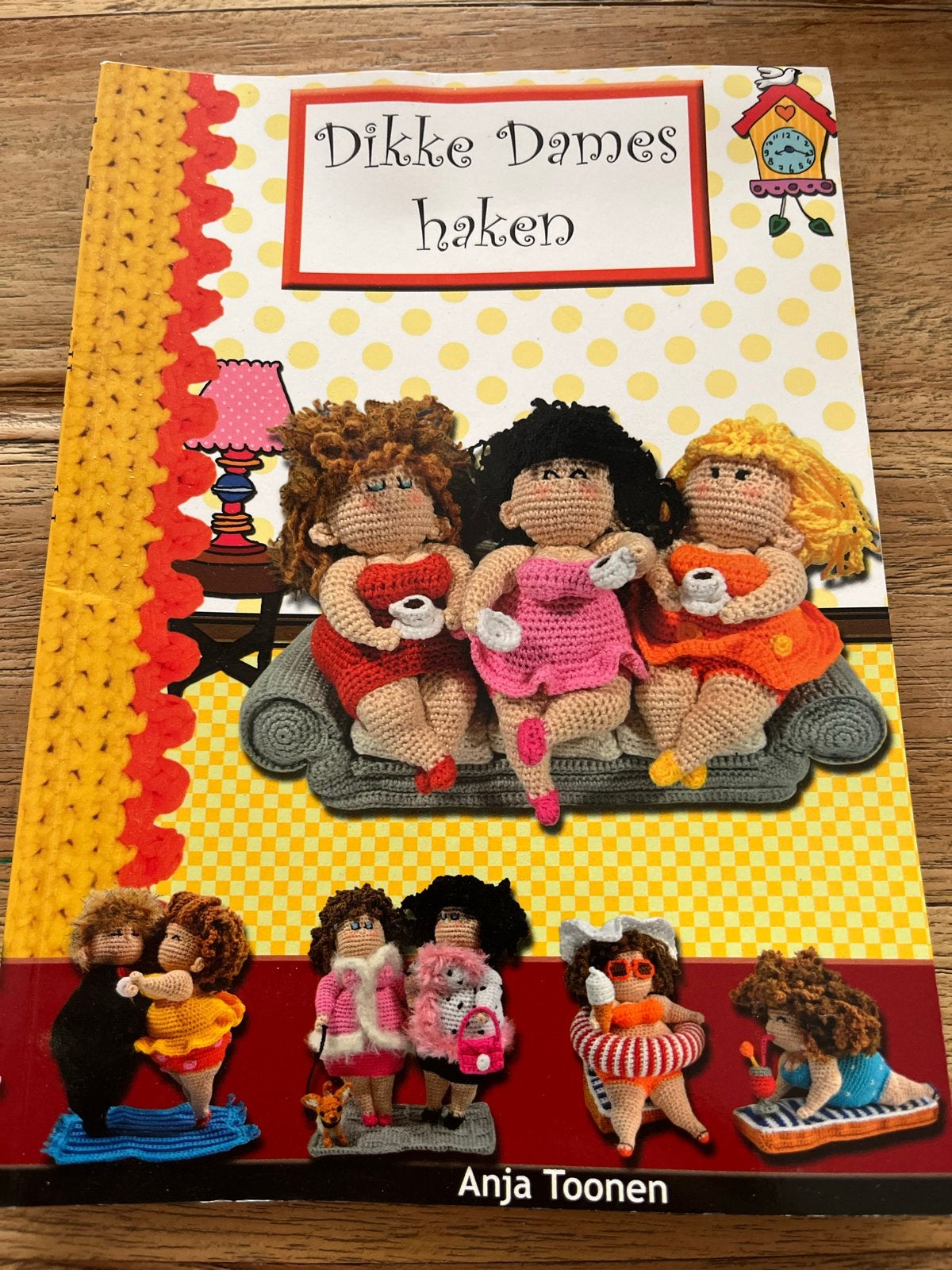 Dikke Dames haken - Anja Toonen haakboek, Ophalen of Verzenden, Zo goed als nieuw, Breien en Haken