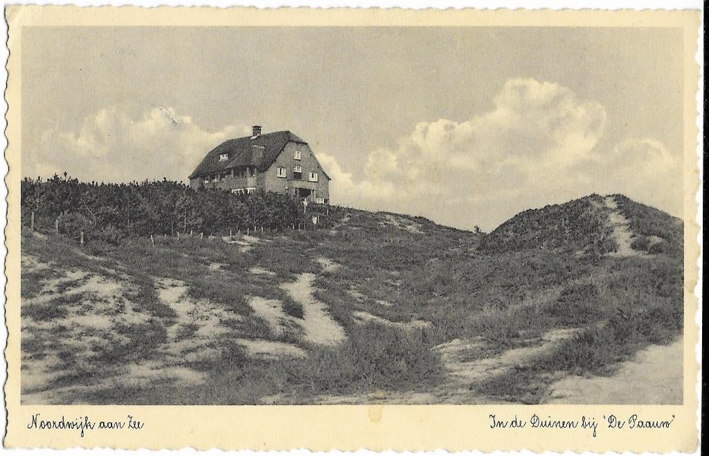 Noordwijk aan Zee, Duinen, De Paauw, Verzenden, 1940 tot 1960, Gelopen, Zuid-Holland