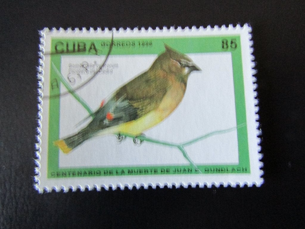 Postzegel Vogel: Ceder-Pestvogel uit Cuba, Ophalen of Verzenden, Gestempeld, Dier of Natuur