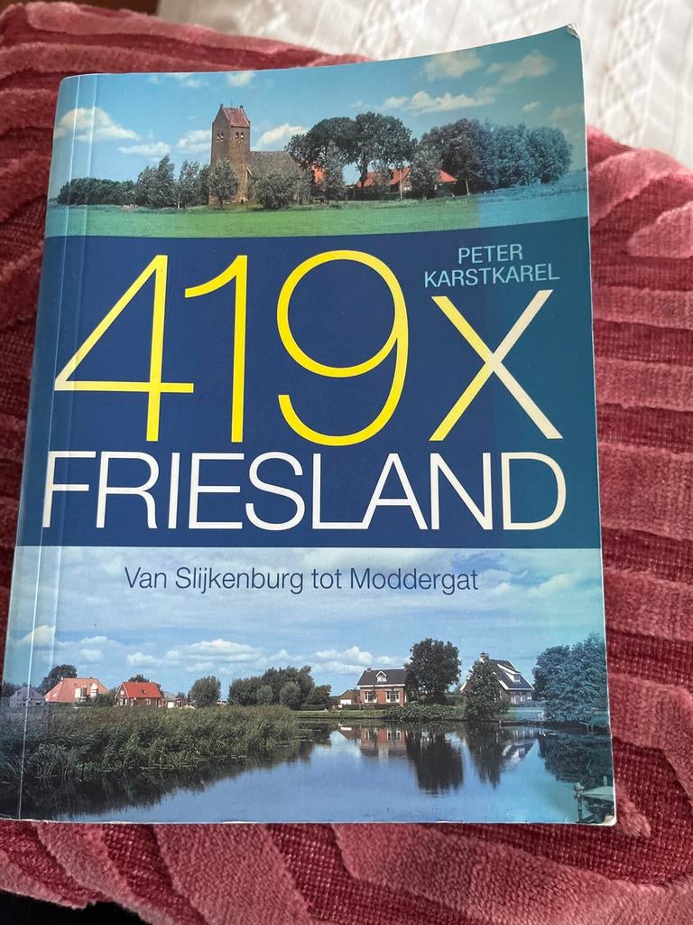P. Karstkarel - 419 x Friesland, Boeken, Geschiedenis | Stad en Regio, Ophalen, Zo goed als nieuw, P. Karstkarel