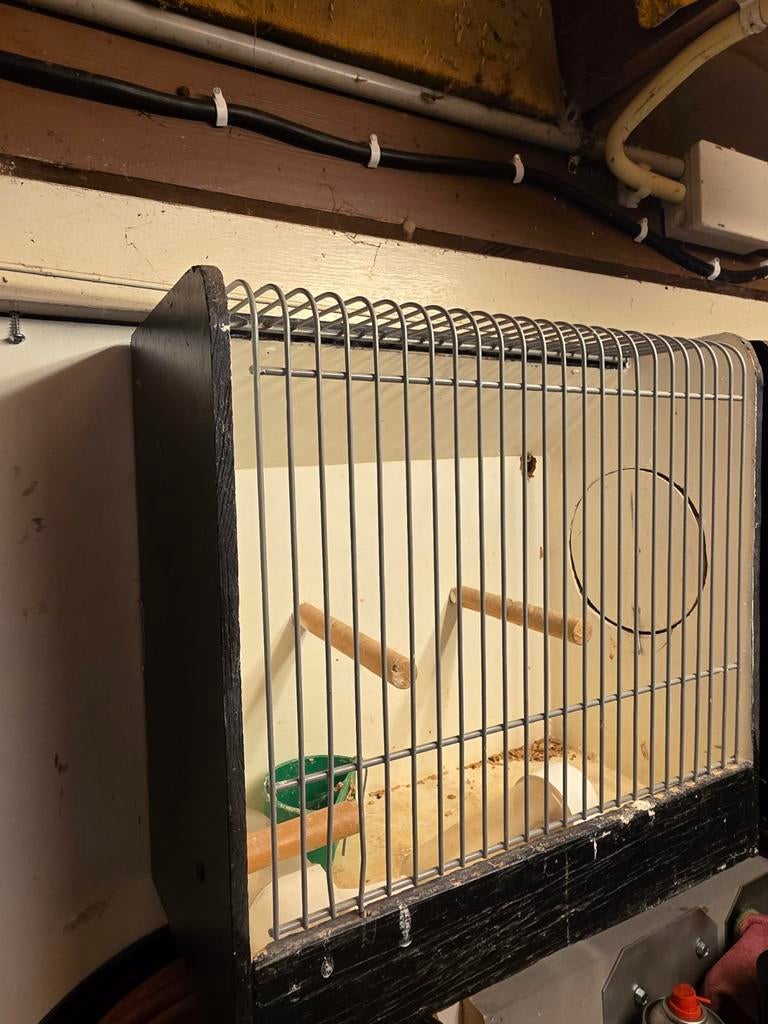 Tentoonstelling kooitjes 2x, Dieren en Toebehoren, Ophalen, Hout, Vogelkooi