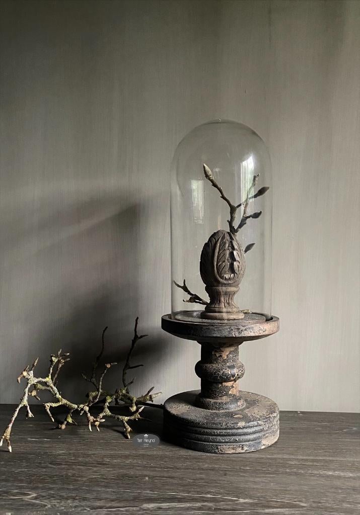 Glazen stolp op oud houten voet S hout glas stoer landelijk