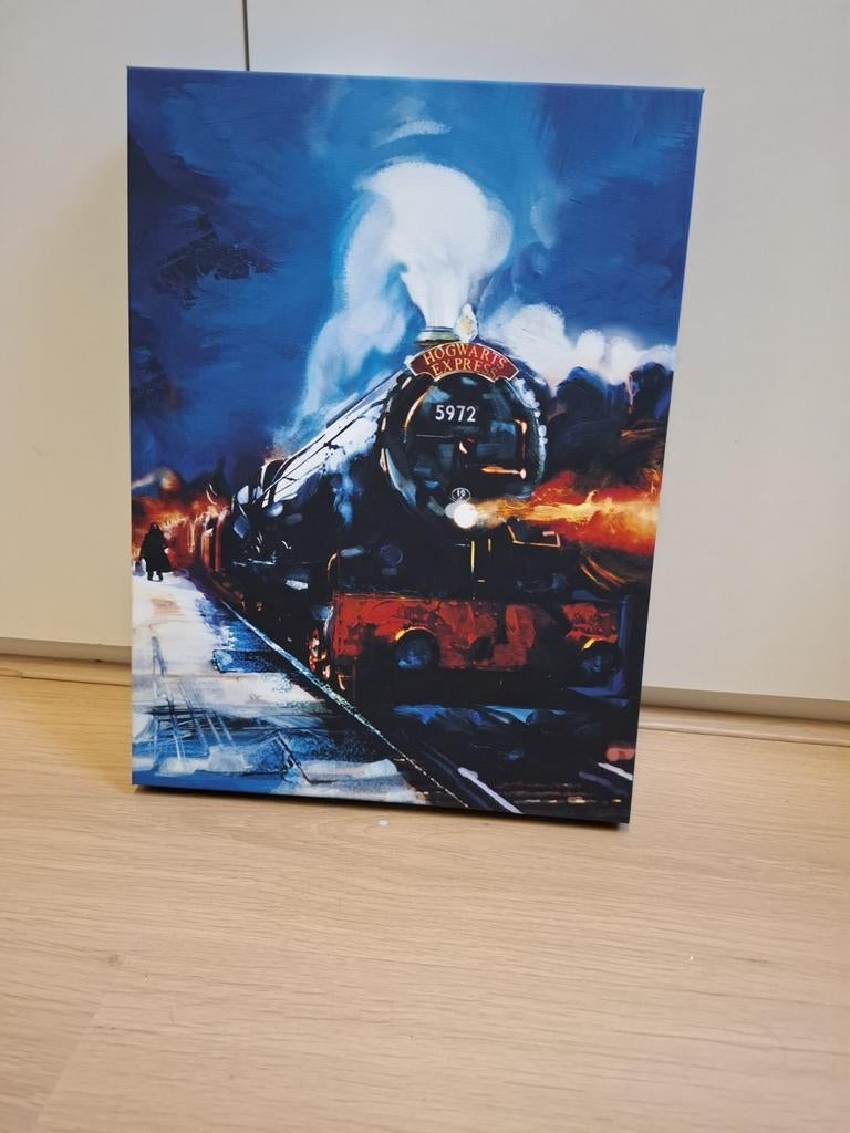 Harry Potter canvas schilderij met licht, Ophalen, Overige typen