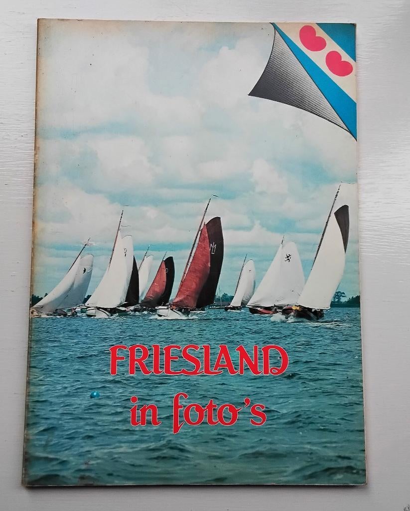 Friesland in foto's, Ophalen of Verzenden, Gelezen