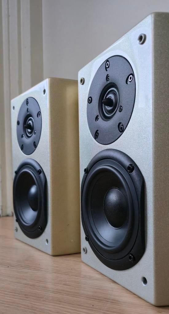 Audio Pro Bravo FX-01 Bookshelf Speaker  🇸🇪, Audio, Tv en Foto, Luidsprekers, Overige merken, Ophalen of Verzenden, Zo goed als nieuw