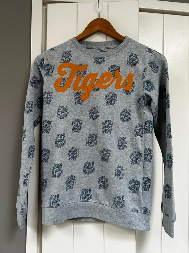 Grijze trui met tijgerprint - maat 158/164, Ophalen of Verzenden, Zo goed als nieuw, Jongen of Meisje, Trui of Vest