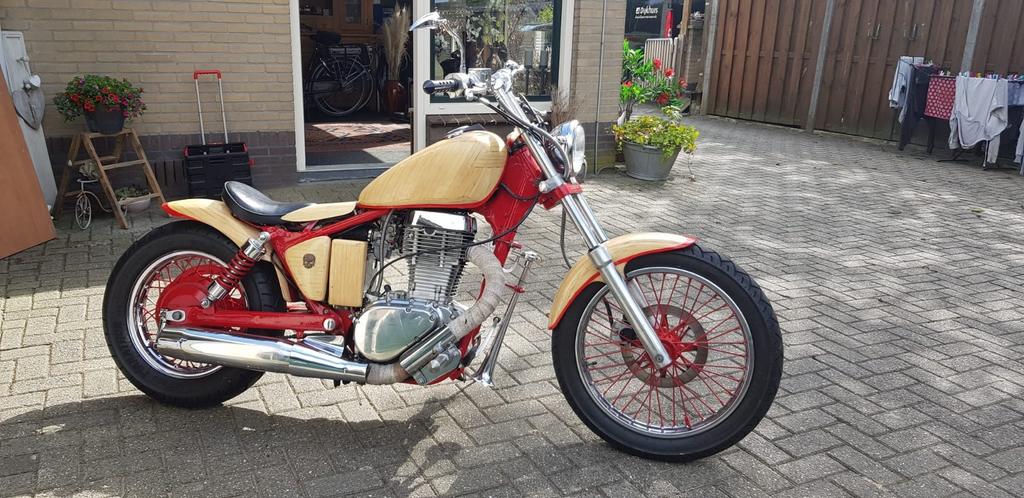 Suzuki LS 650 Savage, Particulier