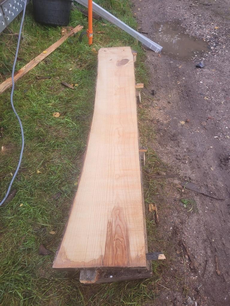 Schaaldeel boomstamtafel vensterbank ESDOORN, Nieuw, Ophalen of Verzenden, Plank, 50 mm of meer