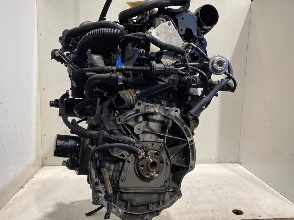 Motor Ford Fiesta 6 (JA8) (2015-01/2017-12) 2509582, Auto-onderdelen, Gebruikt, Henry-Ford-Straße  1, Köln 50735, , Duitsland