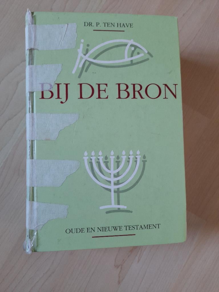 BIJ DE BRON Dr P ten Have Oude- en Nieuwe Testament, Ophalen of Verzenden, Gelezen