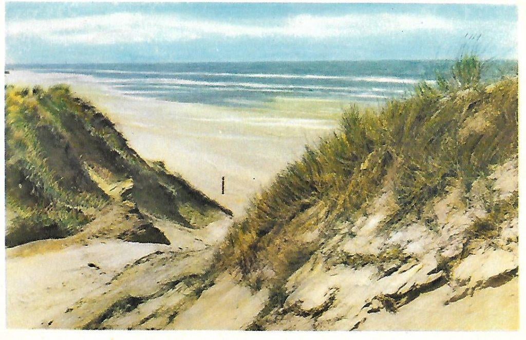Texel- -Zee, strand, duinen., Ophalen of Verzenden, 1940 tot 1960, Gelopen, Waddeneilanden