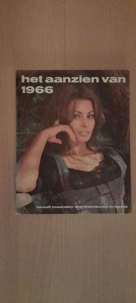 Het aanzien van 1966, Boeken, Ophalen of Verzenden, 20e eeuw of later, Zo goed als nieuw, Overige gebieden