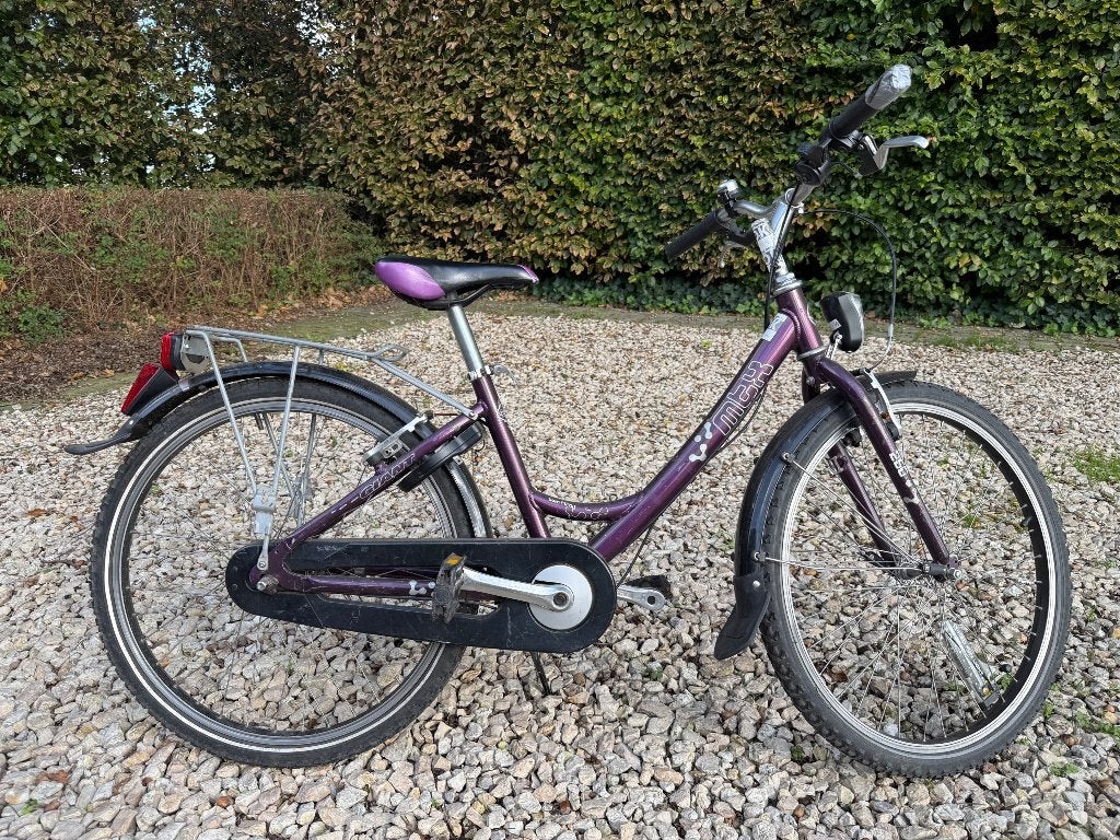 Fiets meisje, Ophalen, Velgrem, Giant, Handrem