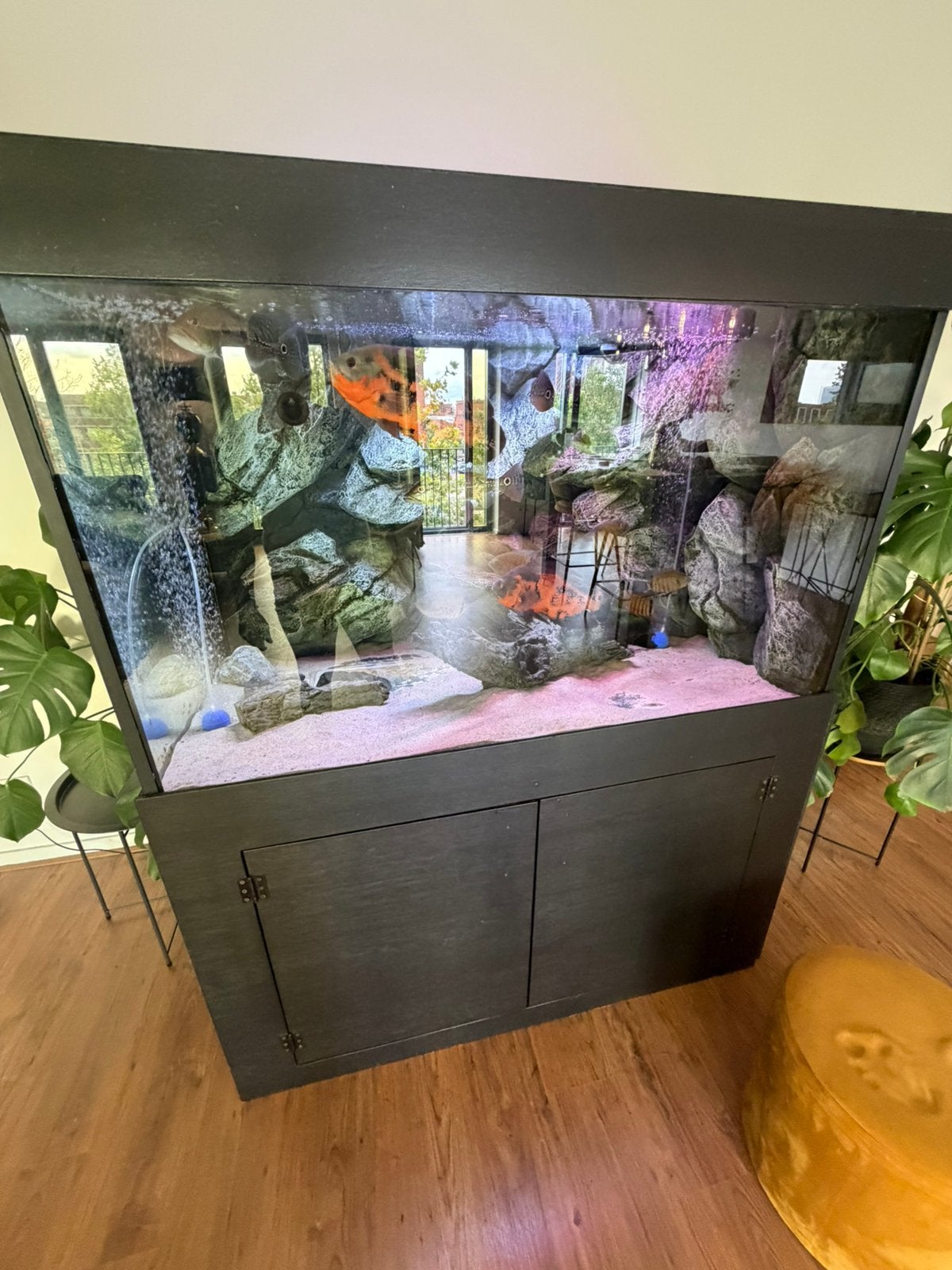 Aauarium 3D 130x85x85, Dieren en Toebehoren, Ophalen, Gebruikt, Leeg aquarium