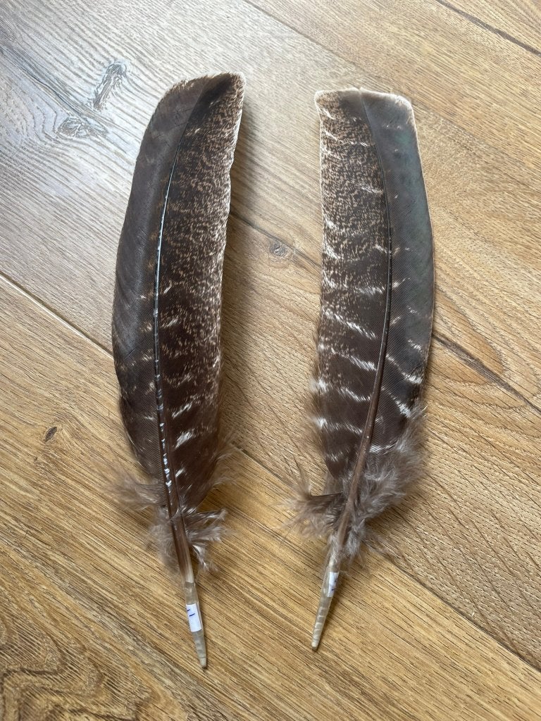 Smudge veren/ kalkoen en pauw veren, Verzamelen, Ophalen, Nieuw, Vogel, Overige typen