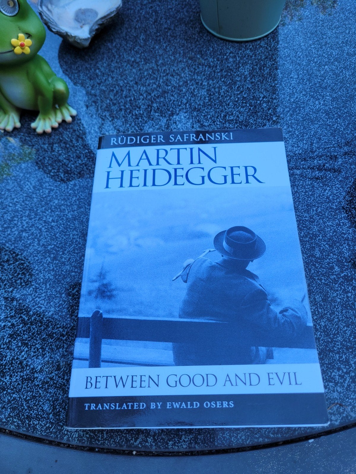 Martin Heidegger - Rüdiger Safranski
Between Good and Evil, Boeken, Ophalen of Verzenden, Zo goed als nieuw