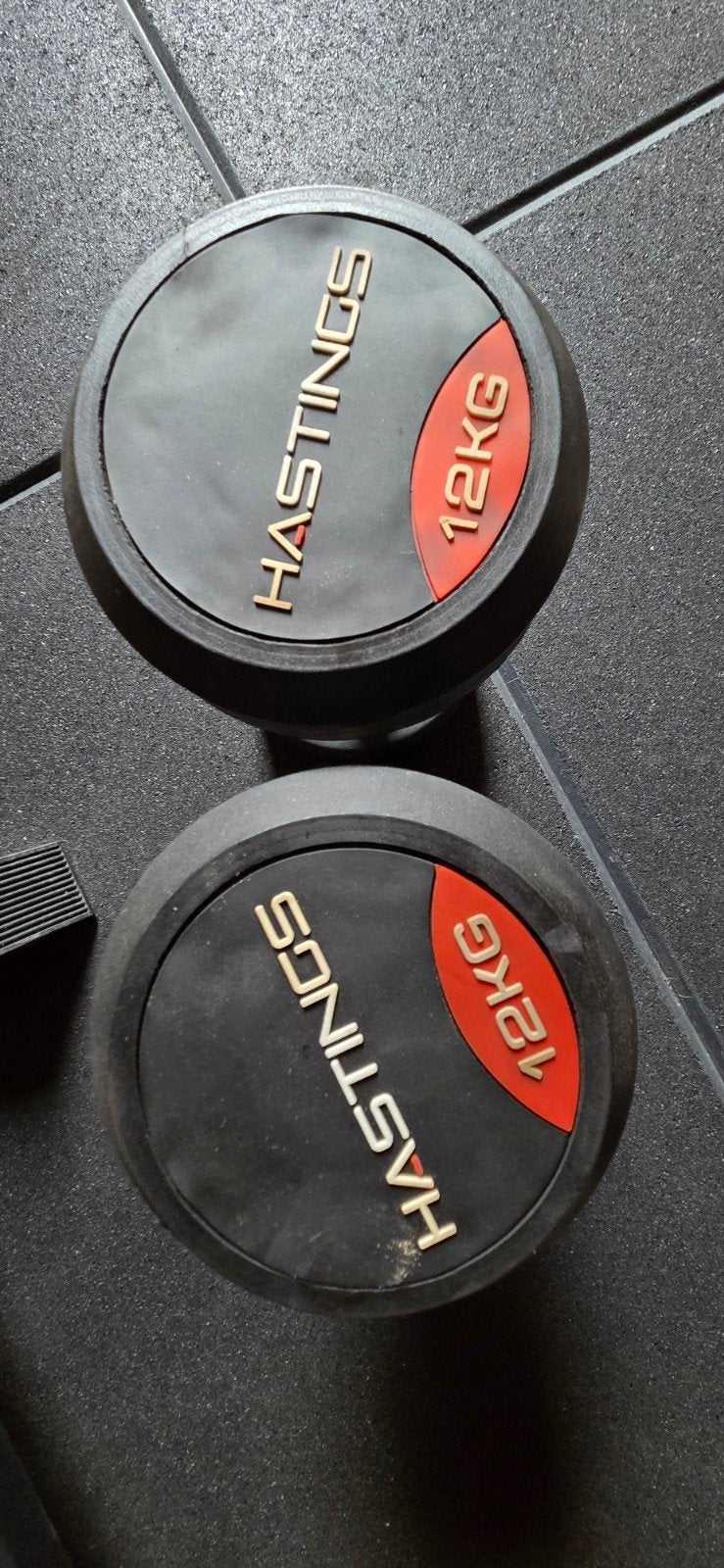 Hastings Dumbbells 12KG - Set van 2, Ophalen, Gebruikt, Rug, Dumbbell