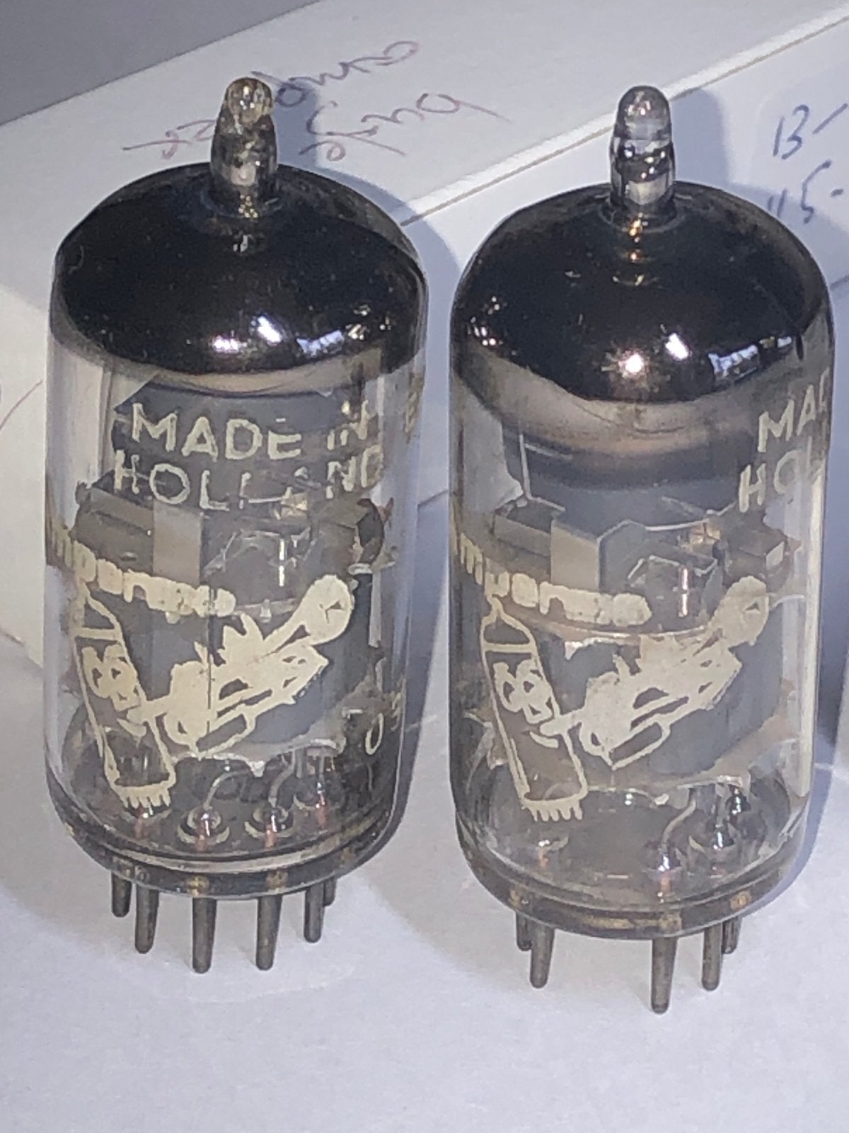 PHILIPS Amperex Bugle Boy ECC88 buizen, Ophalen of Verzenden, Nieuw