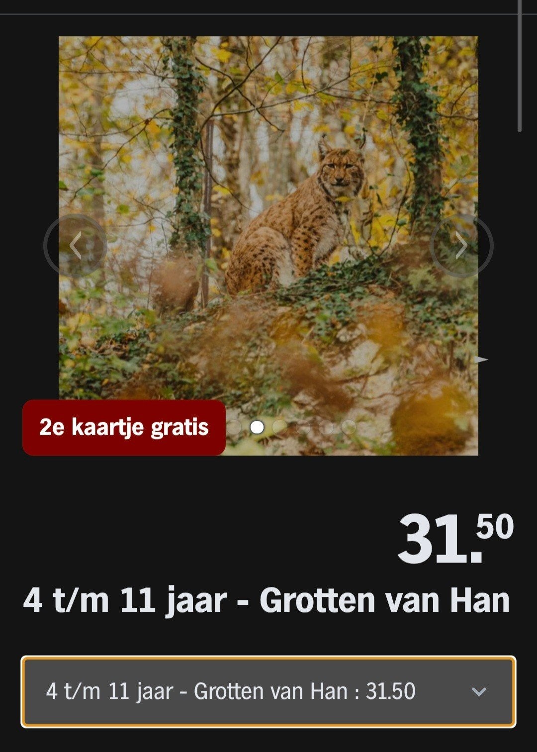 GROTTEN VAN HAN ♡ 2e kaartje gratis (AH SPAARKAARTEN), Tickets en Kaartjes, Overige soorten