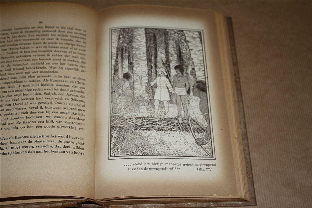 De roode paradijsvogel. J. Hendrik v. Balen. 1919., Boeken, Ophalen of Verzenden, Gelezen