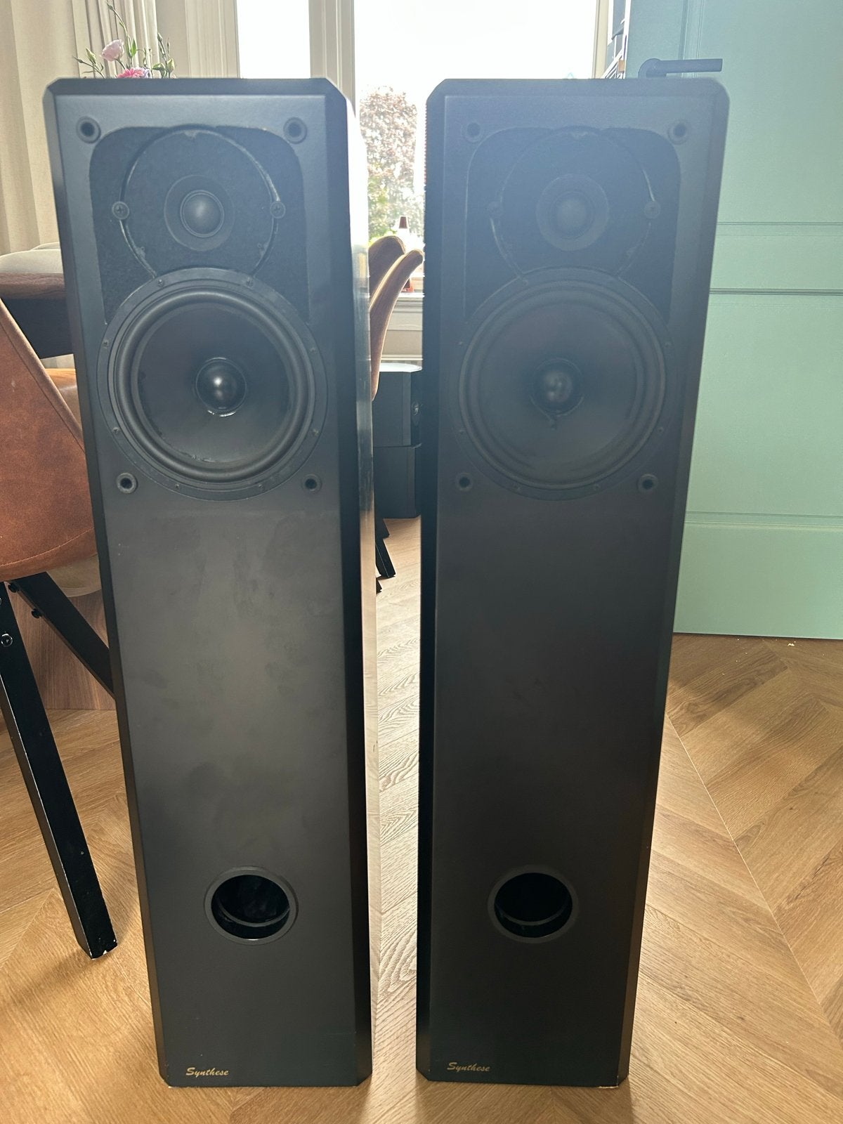 Synthese Vloerstaande Luidsprekers - Zwart, Audio, Tv en Foto, Vloerstaande luidspreker, Gebruikt, 60 tot 120 watt, Basreflex