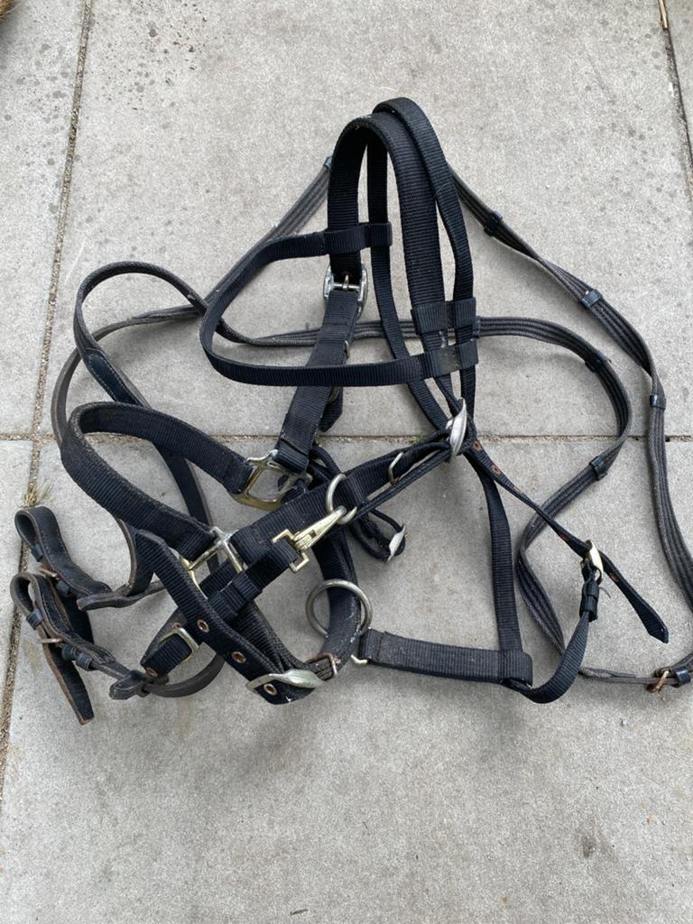 Halster met afneembare stukken voor het bit, Dieren en Toebehoren, Paarden en Pony's | Hoofdstellen en Tuigage, Ophalen of Verzenden
