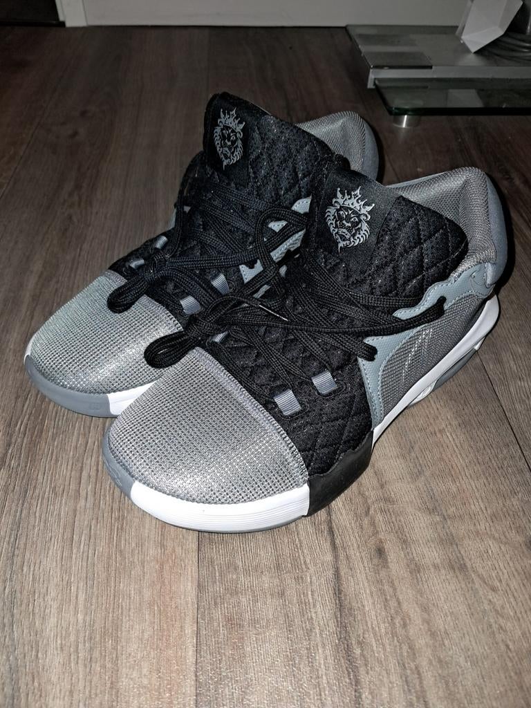 Lebron Witness basketbalschoen maat 42,5, Ophalen of Verzenden, Zo goed als nieuw, Schoenen