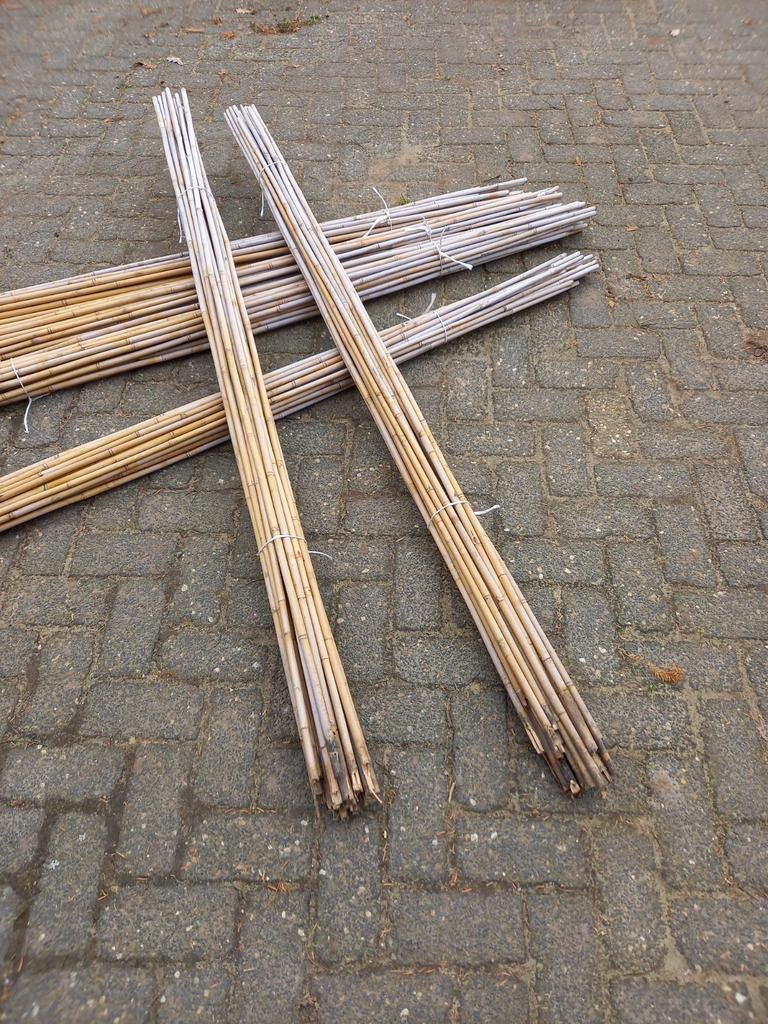 Bamboe stokken  tonkinstokken, Tuin en Terras, Ophalen, Zo goed als nieuw, 250 cm of meer, Palen