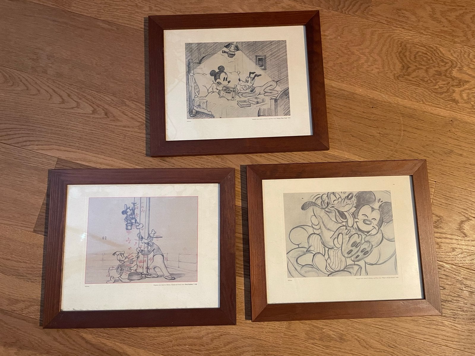 Set van 3 ingelijste Disney tekeningen: Mickey, Pluto, Donal, Ophalen