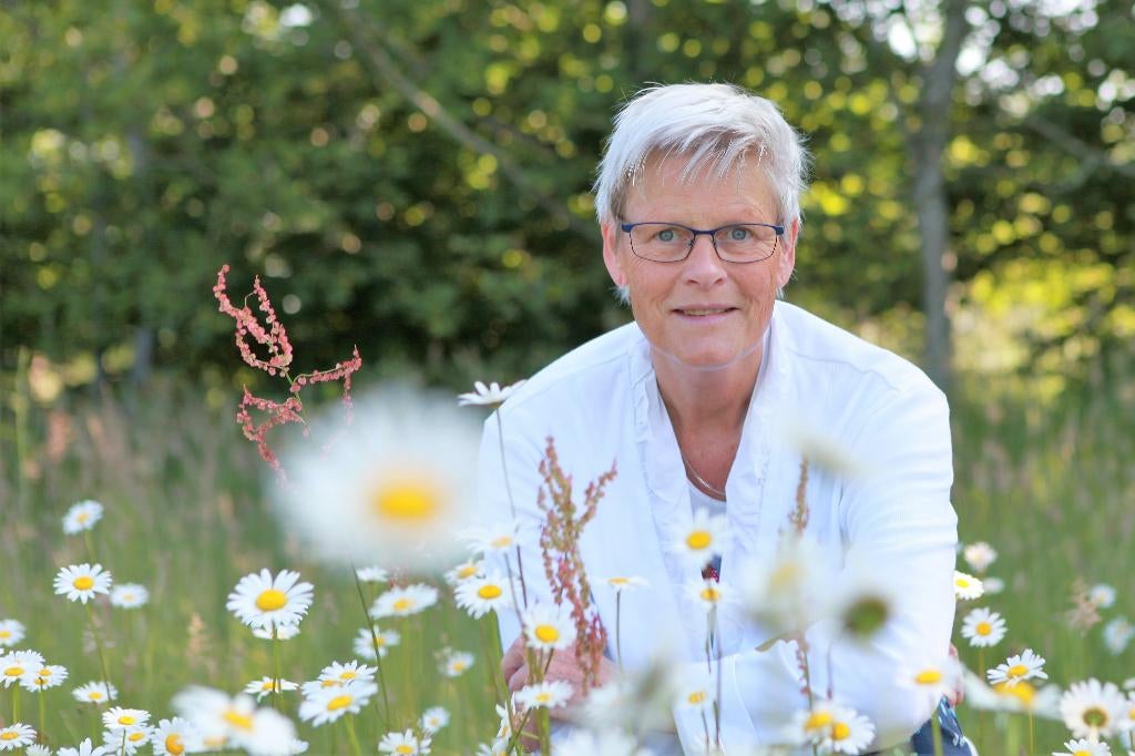 Gezinsreportage, Familiefoto's, Fotograaf, Ophalen, Nieuw