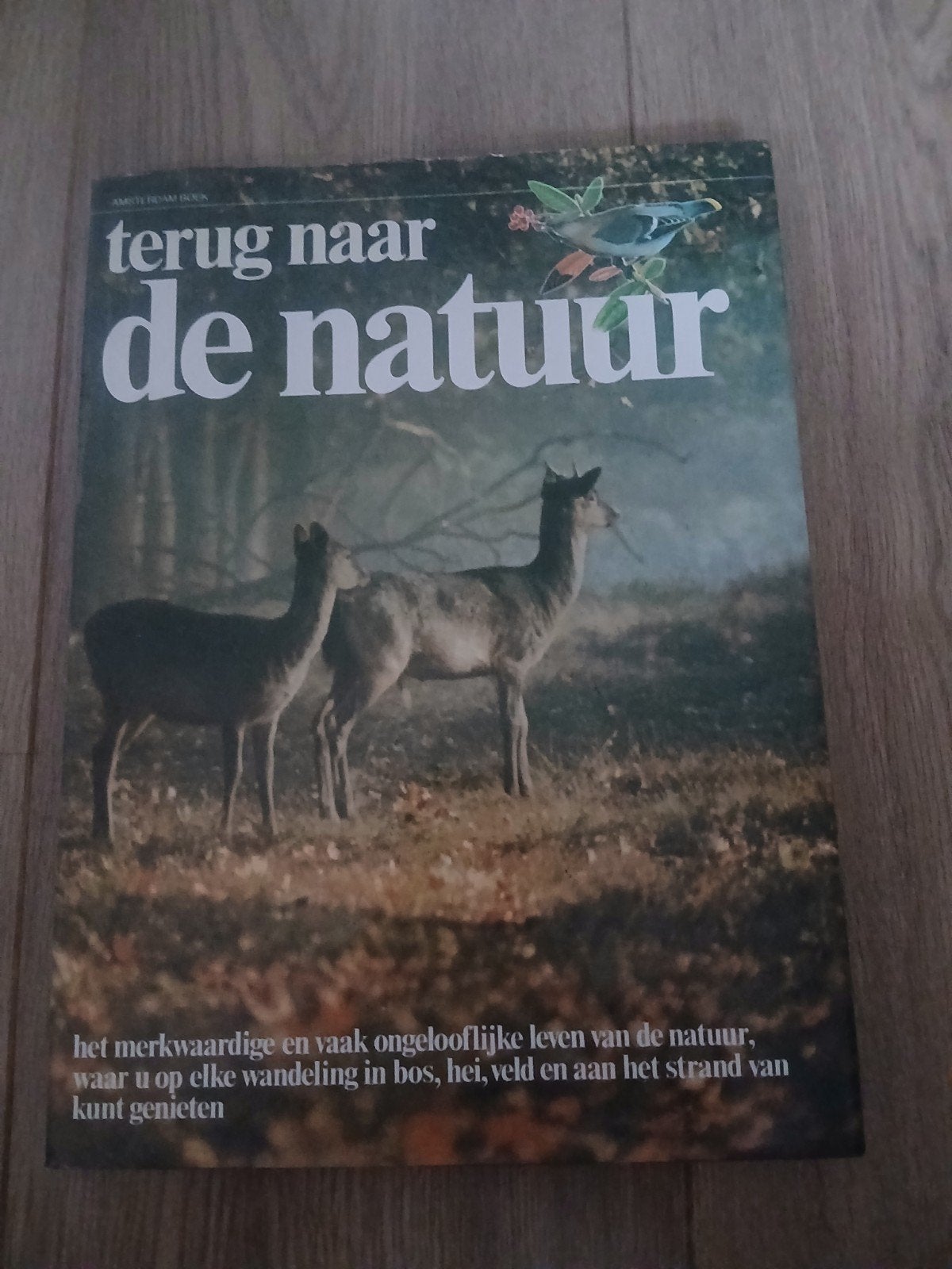 Amsterdam Boek - Terug naar de natuur, Boeken, Natuur, Ophalen of Verzenden, Gelezen, Natuur algemeen