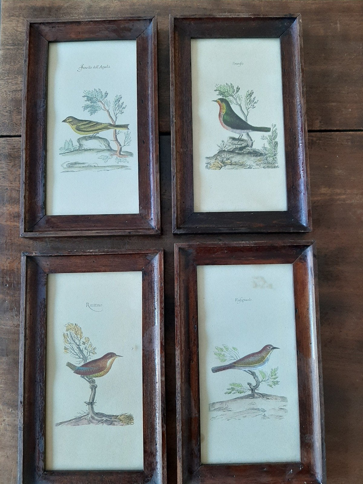 Set van 4 antieke ingelijste vogelprints.12,5 cm br21 h., Minder dan 50 cm, Gebruikt, Ophalen of Verzenden, Print