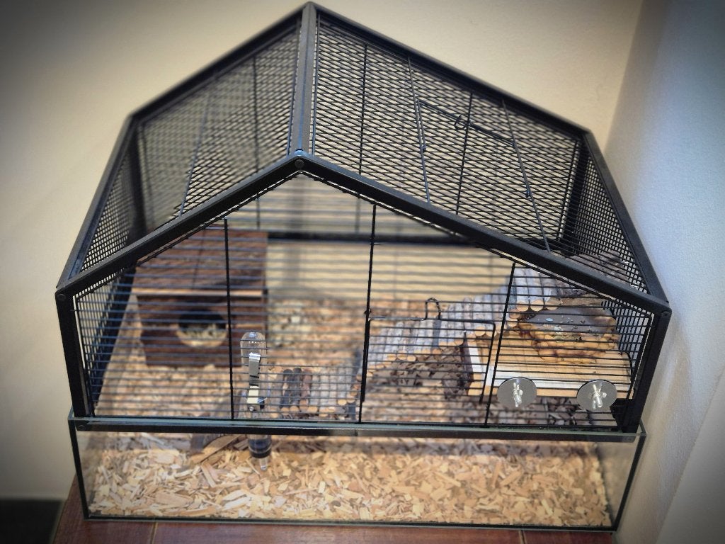 Mooie, gloednieuwe kooi geschikt voor knaagdier te koop, Kooi, Hamster, Ophalen, Minder dan 60 cm
