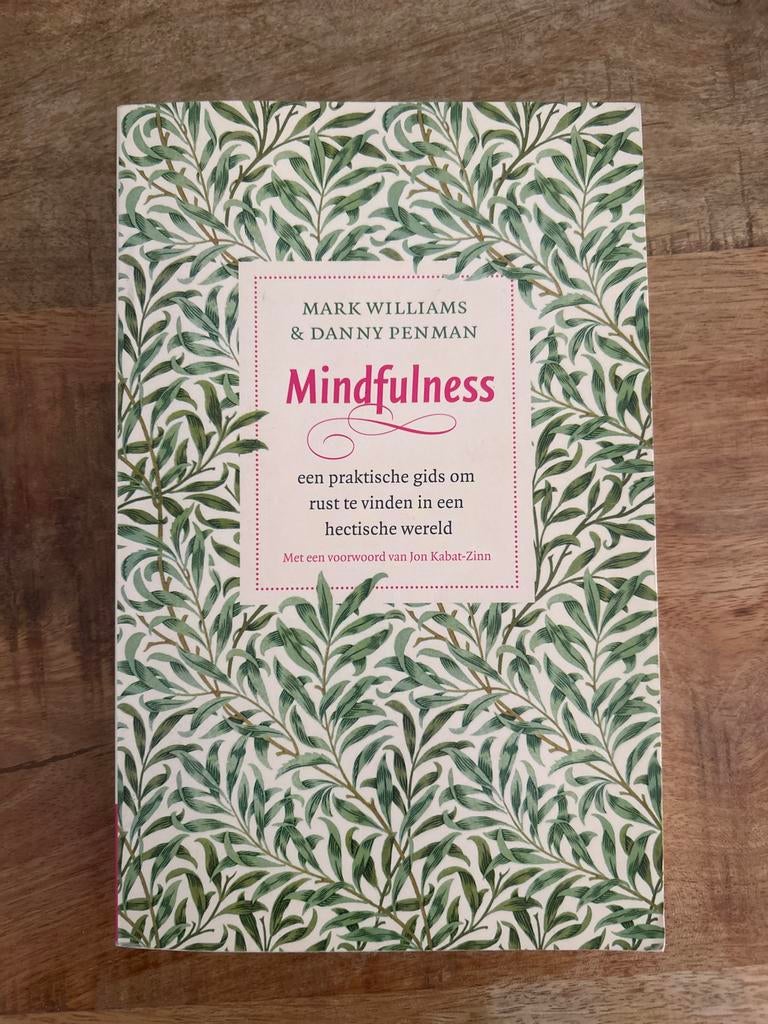 Mindfulness: Rust in een hectische wereld - Mark Williams, Ophalen, Zo goed als nieuw, Meditatie of Yoga, Instructieboek