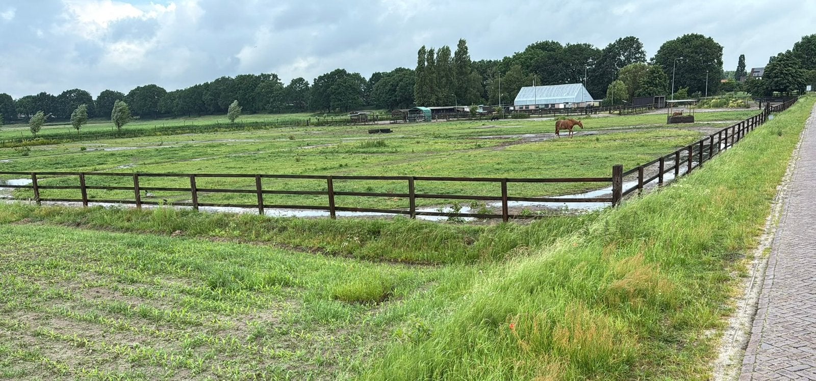 Plaats op Paddock Paradise, Tickets en Kaartjes, Eén persoon, Ticket of Toegangskaart