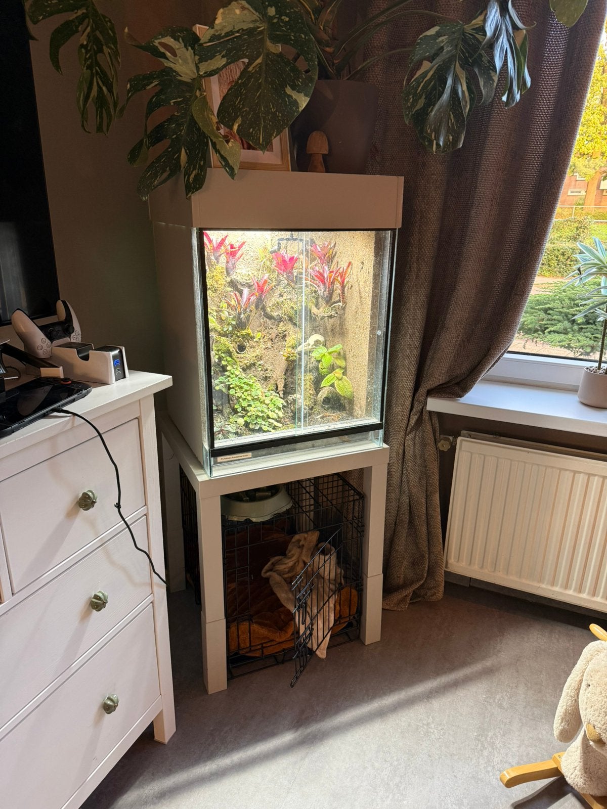 Compleet terrarium 50x50x60 incl lampen en sproeisysteem, Ophalen, Rechthoekig, Minder dan 50 cm, Minder dan 100 cm