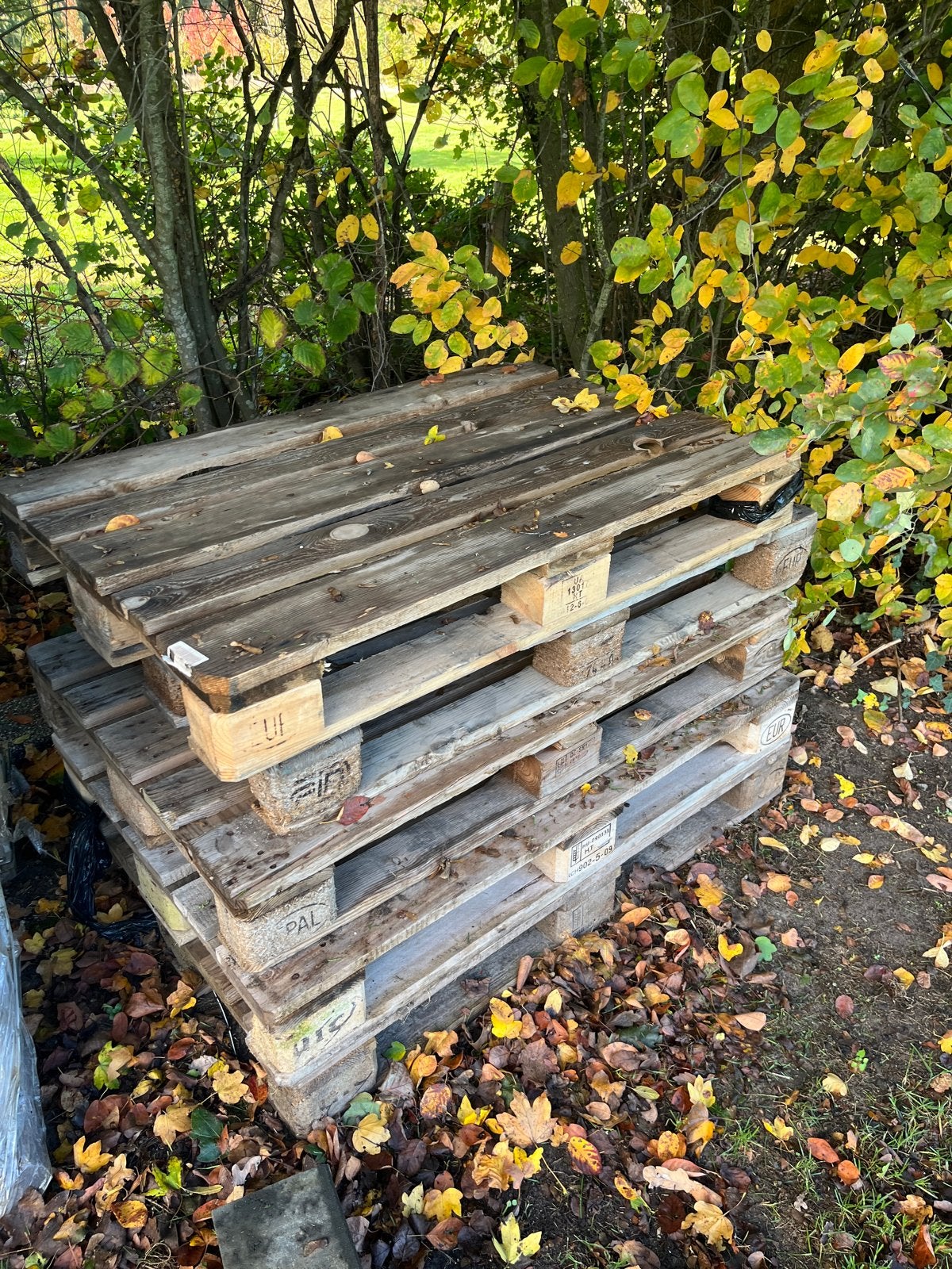 Gebruikte Europallets - Ideaal voor diverse projecten, Ophalen of Verzenden
