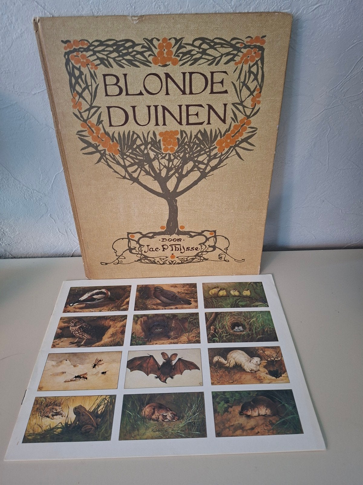 Verkade album-Blonde duinen Compleet met losse plaatjes, Antiek en Kunst, Ophalen of Verzenden