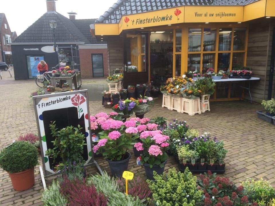 Bloembindster, MBO, Vanaf 1 jaar, Vast contract