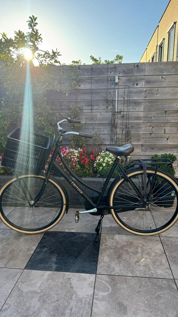 Mooie zeer nette Cortina oma fiets, Ophalen, Terugtraprem, Versnellingen, 56 cm of meer