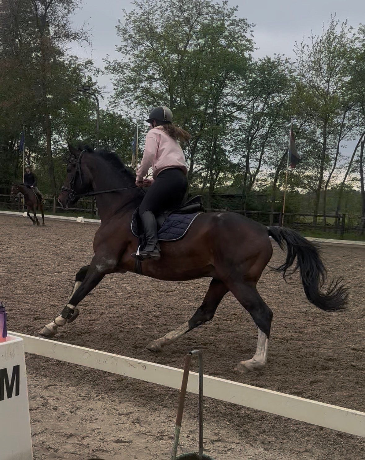 Gezocht! Verzorg paardje/pony, Dieren en Toebehoren, Ophalen of Verzenden, Gebruikt
