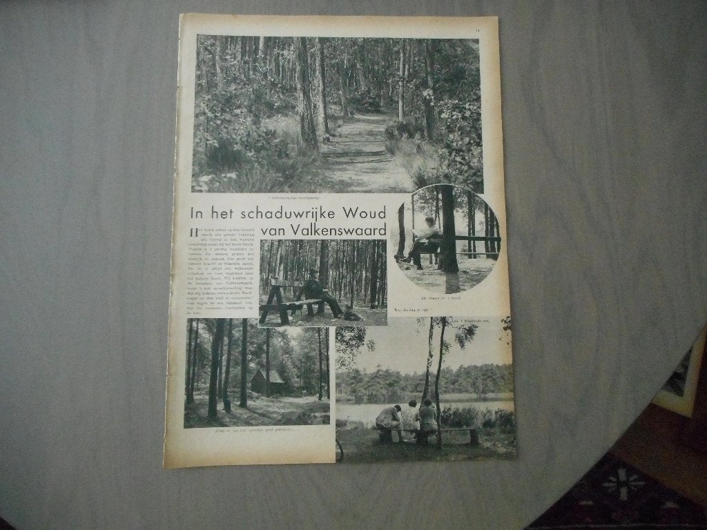 Valkenswaard. Schaduwrijke woud. 1937., Ophalen of Verzenden, 1920 tot 1940, Nederland, Knipsel(s)